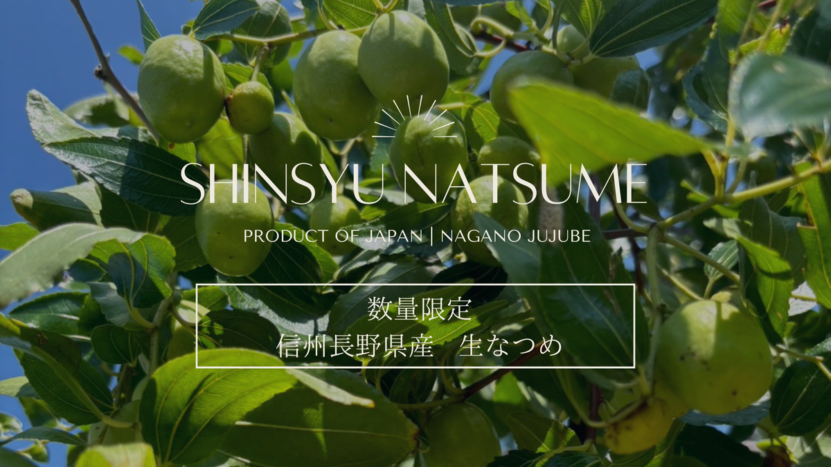 786ace2c08e6165401ce00e8a94517