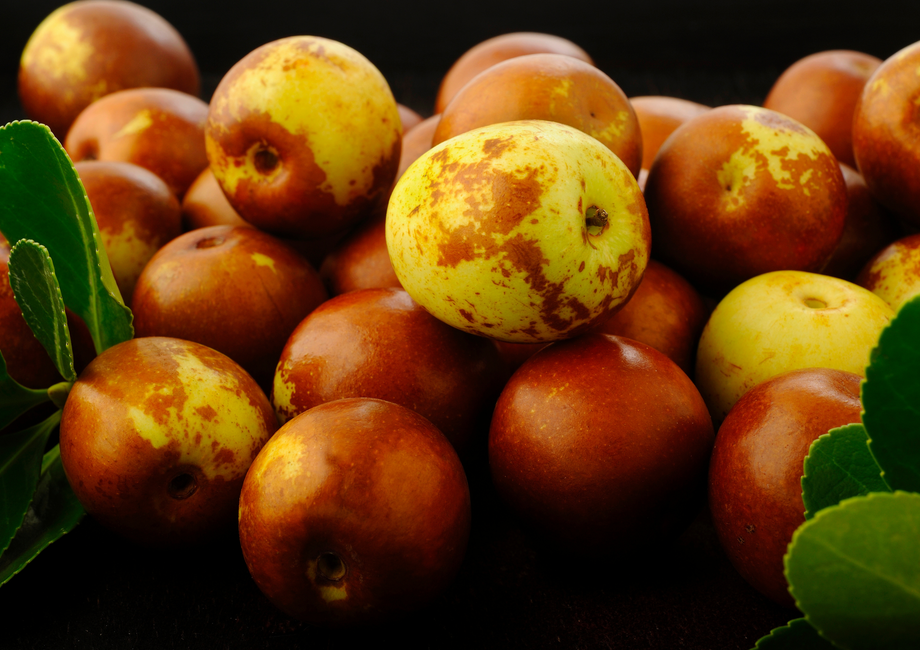 20_460x@2x.png?v=1759453963