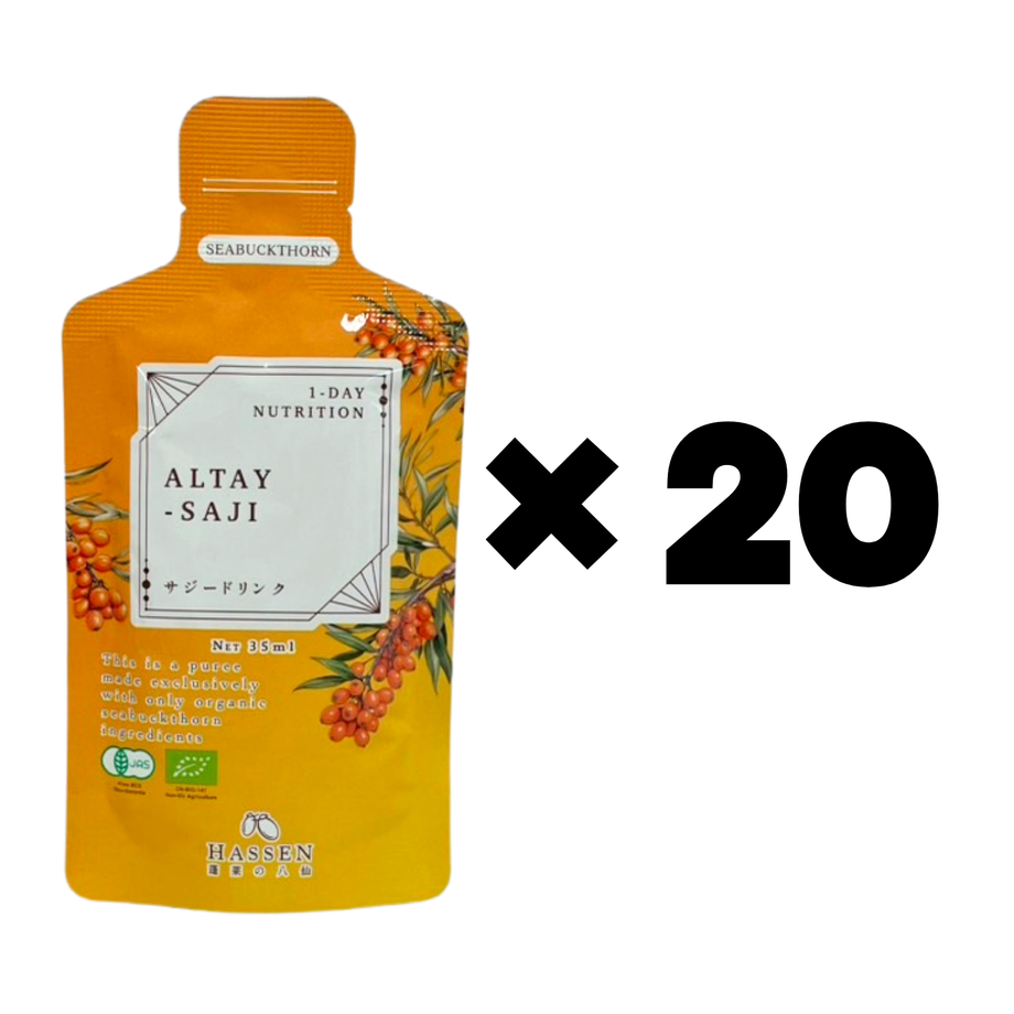 週末特別価格！新品未使用品未開封suku oasis オアシス/セックブリックG 20個/ケース/D-2302 - 花材通販はなどんや