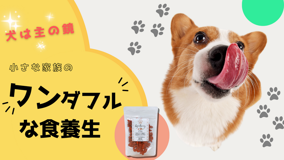 犬のおやつ・ペットフード】オーガニック（有機）ゴジベリー(クコの実